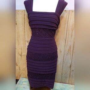 Plum  Sequence Dress